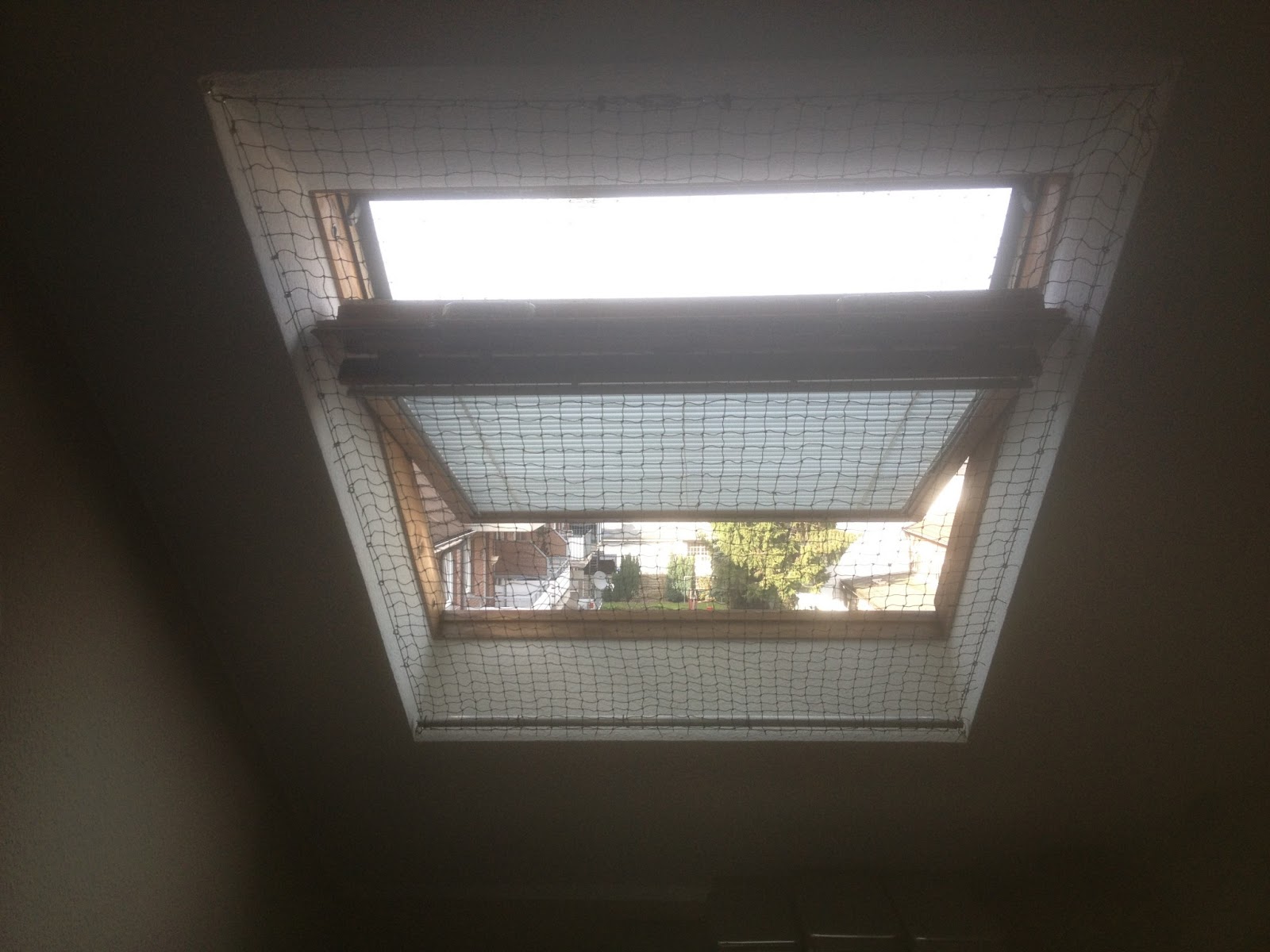 katzennetz fenster ohne bohren